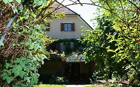 B&B Greiner Graz Exterior photo